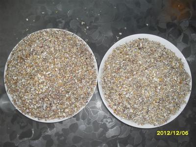 山东聊城玉米下脚料玉米筛漏碎粒价格分析与销售指南